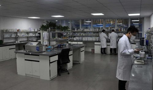 豫企研發(fā)長(zhǎng)效防疫抗菌新品 抑菌率達(dá)100% 生物技術(shù)賦能健康未來(lái)