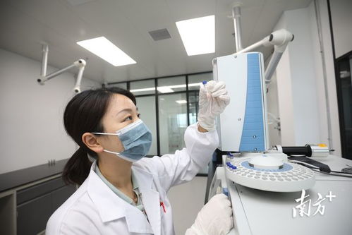 金灣生物醫(yī)藥產(chǎn)業(yè)研究院試運(yùn)營(yíng) 開啟全鏈條新藥研發(fā)服務(wù)新篇章