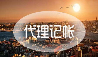 蓮湖區(qū)營業(yè)執(zhí)照代辦優(yōu)質(zhì)選擇 西安通稅財務(wù)咨詢有限公司的服務(wù)優(yōu)勢分析